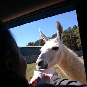 Meet your Posher, Kelly