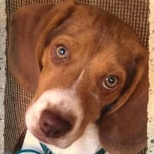 Meet your Posher, Christopher