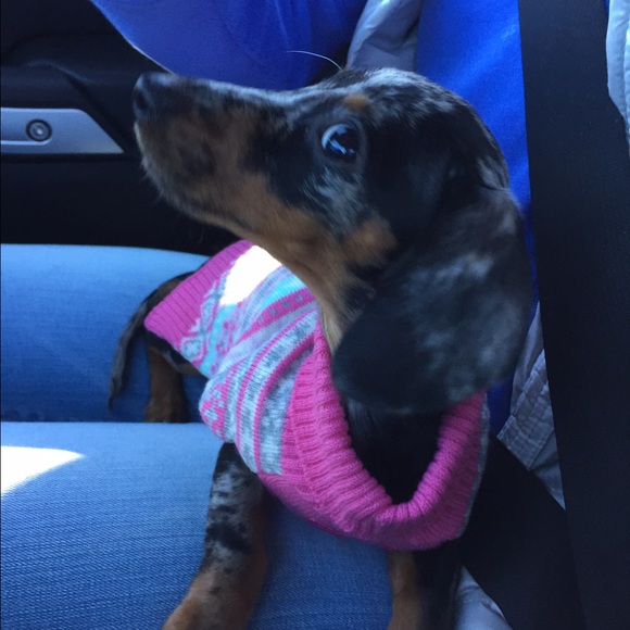 Meet your Posher, Catherine - Picture 1 of 1