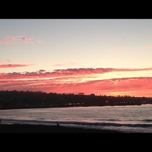 Meet your Posher, Lilly