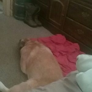 Meet your Posher, Kim