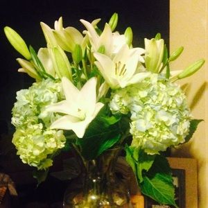 Meet your Posher, Gina