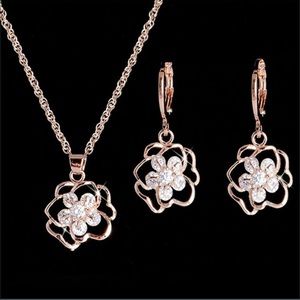 Necklace and earring set brand-new