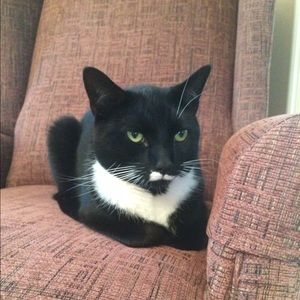 Meet your Posher, Scott