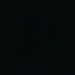 Meet your Posher, Ernesto