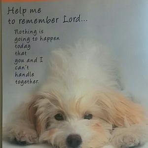 Meet your Posher, Yvonne