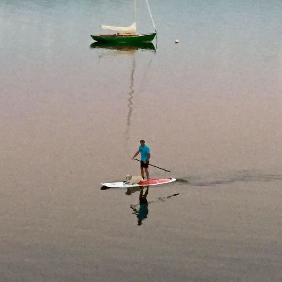 Meet your Posher, Chris