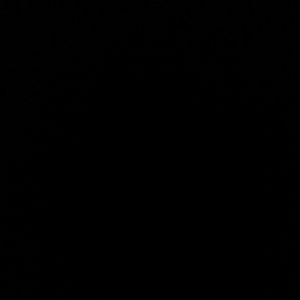 Meet your Posher, Andre