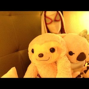 Meet your Posher, Taylor