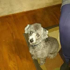 Meet your Posher, Yolanda