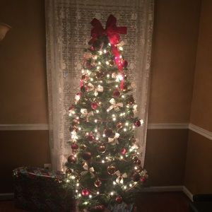 Meet your Posher, Daisy