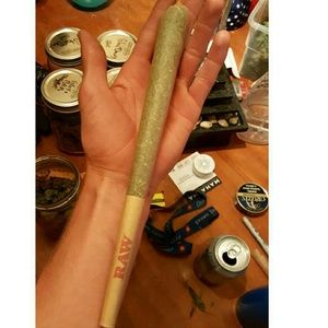 Meet your Posher, Jake