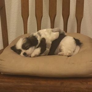 Meet your Posher, Silvia