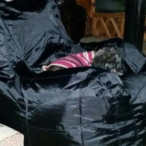 Meet your Posher, Estella