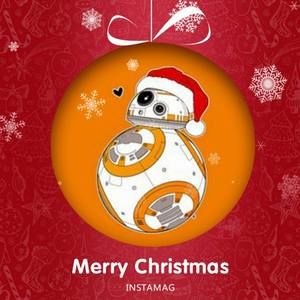 Meet your Posher, Sandy