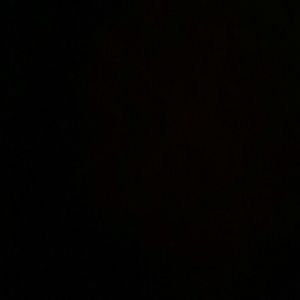 Meet your Posher, Bryo