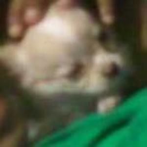 Meet your Posher, Jayden