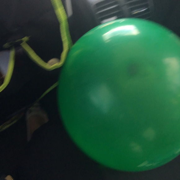 Meet your Posher, Winnie - Picture 1 of 1