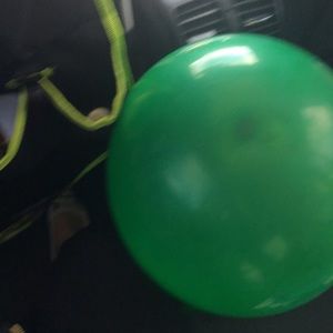 Meet your Posher, Winnie