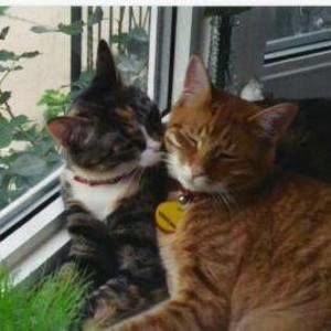 Meet your Posher, Vanessa