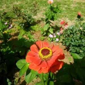 Meet your Posher, Mickey