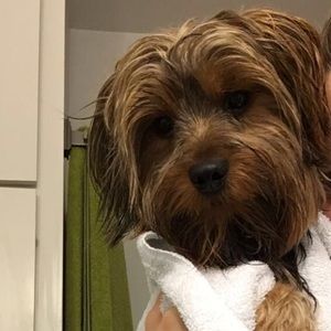 Meet your Posher, Emma