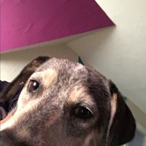 Meet your Posher, Jamie