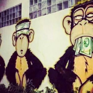 Meet your Posher, Luis