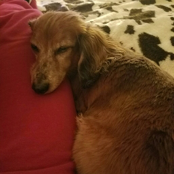 Meet your Posher, Corine - Picture 1 of 1