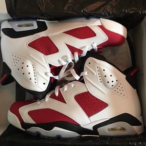 Air Jordan 6 Carmine / Size 10.5