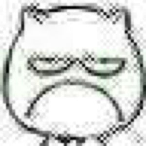 Meet your Posher, Craig