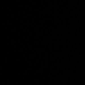 Meet your Posher, Ricardo