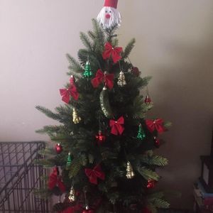 Meet your Posher, Robin