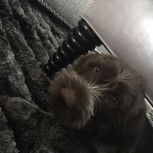 Meet your Posher, Kris