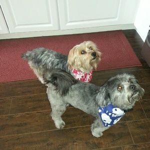 Meet your Posher, Brittany