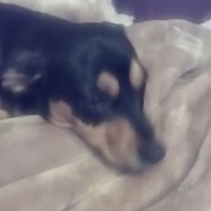 Meet your Posher, Beth