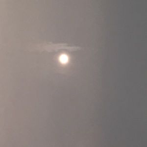 Meet your Posher, Saida