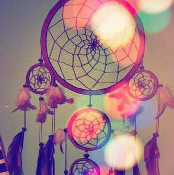 Meet your Posher, Brittany - Picture 4 of 4