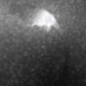 Meet your Posher, Tricia