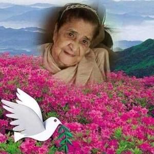 Meet your Posher, Hilda