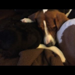 Meet your Posher, Jill