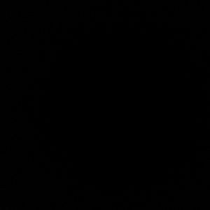 Meet your Posher, Ema