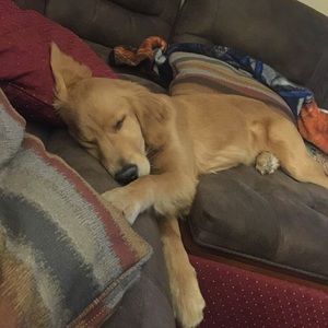 Meet your Posher, Christie