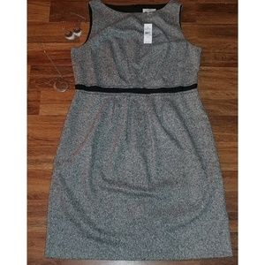 NWT Ann Taylor Loft Wool Dress