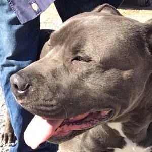 Meet your Posher, Caleb