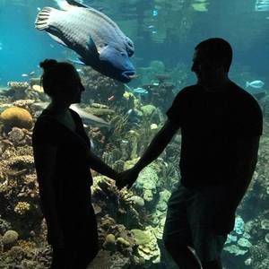 Meet your Posher, Gretchen