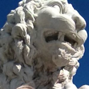 Meet your Posher, Noelle