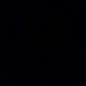 Meet your Posher, Timmy