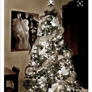 Meet your Posher, Breeann