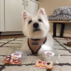 Meet your Posher, Michelle